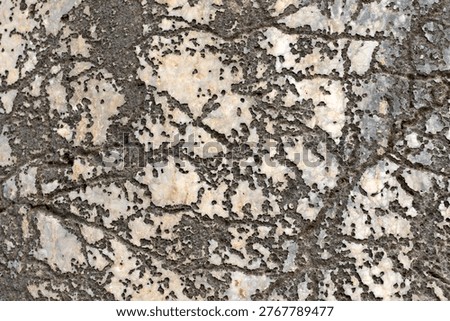 A close-up texture of a weathered rock surface covered in a crustose lichen.