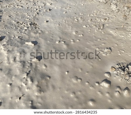 Close-up texture of wet mud, liquid clay, and small stones forming a smooth earthy surface on the ground.