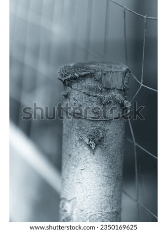 closeup, texture, wood, fence, wire, detail 