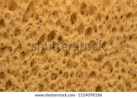 closeup texture of yellow sponge