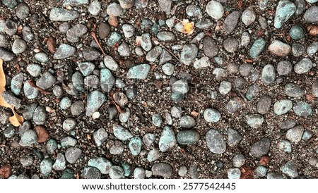 Similar – Image, Stock Photo Dried leaves on earthy ground with two white feathers between them