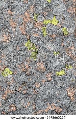 Close-up of textured rock surface featuring gray and red hues, adorned with bright green lichen patches, showcasing natural patterns and colors.