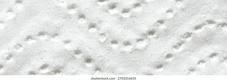 Close-up of textured snow surface with patterned indentations on a winter day.