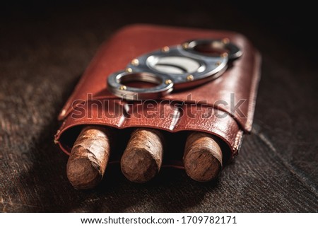 Closeup of three cigars in a leather container