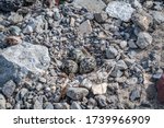 A closeup of three Killdeer eggs in the nest.  The nest is a crude depression amoung the stones to help campuflage the nest.