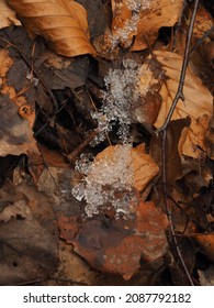 Close-up of of tiny ice crystals on fallen leaves with warm colors with soft-focus in the background