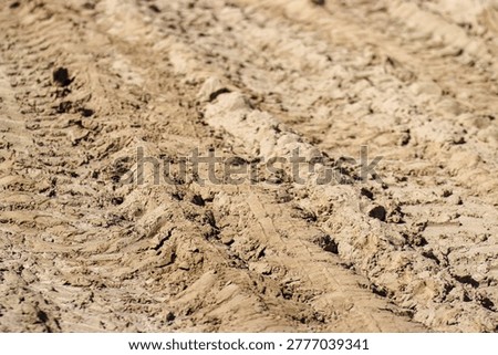 Close-up of tire tracks imprinted in dry sandy soil, highlighting the unique patterns and textures created by vehicle movement across the surface