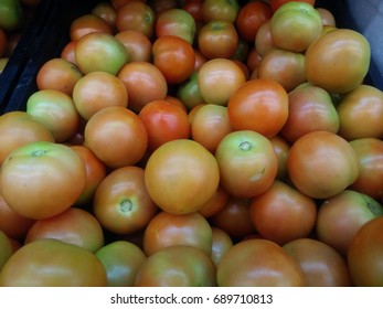 closeup tomato