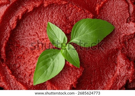 Close-up of tomato or pepper paste or puree