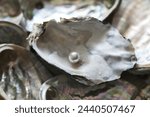 Close-up and top angle view of a pearl on an oyster shell with abalone shells, South Korea
