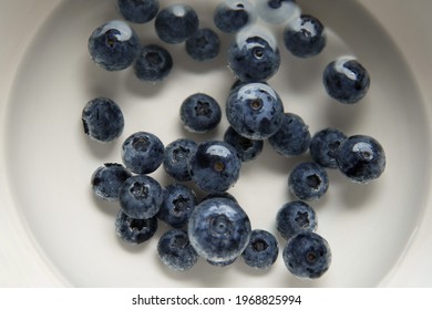 Closeup Top View Above Soaking Heap Group Fresh Organic Picked Blueberries With Cold Water Mixed Vinegar In A White Bowl Background. Washing For Reduce And Remove Bacterial Before Eating Concept