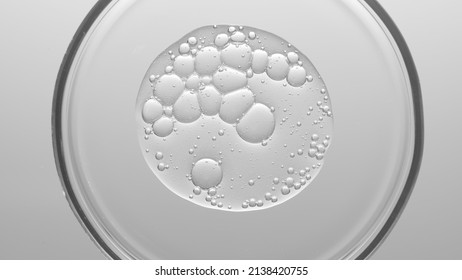 Close-up top view macro shot of gel with different sized bubbles in petri dish on light grey background | Abstract skin care gel with hyaluronic acid formulating concept - Shutterstock ID 2138420755