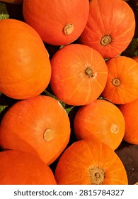 A close-up top view of multiple vibrant orange pumpkins arranged together, showcasing their smooth skin and stems.