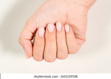 Closeup top view of one beautiful hand of woman with professional manicure, nails painted with light pink color and covered with mat top without glossy shine. Nude style design of fingernails.