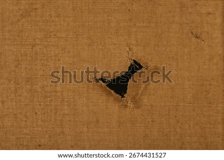 A close-up of a torn canvas with a grid-like pattern, surrounded by cracked, weathered paint.
