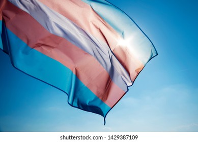 closeup of a transgender pride flag waving on the blue sky, moved by the wind, with the sun in the background
