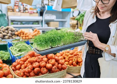 Close-up of trays with various microgreens in hands of woman at farmer's market - Powered by Shutterstock