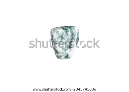 Close-up tree agate stone isolated on a white background.
