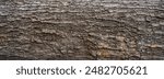 Close-up of tree bark texture background showcasing natural wood patterns and rough grainy surface, ideal for eco-friendly projects and nature-themed designs. Organic material and carbon neutrality.