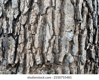 Close-up of tree bark texture background showcasing natural wood patterns and rough grainy surface, ideal for eco-friendly projects and nature-themed designs. Organic material and carbon neutrality.