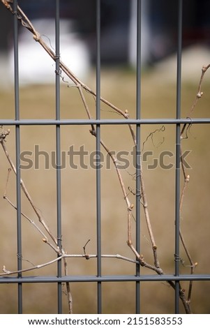 Similar – Image, Stock Photo dreary Environment Winter