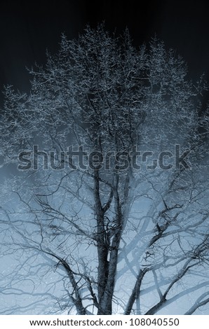 Similar – Nebelbaum Baum Nacht