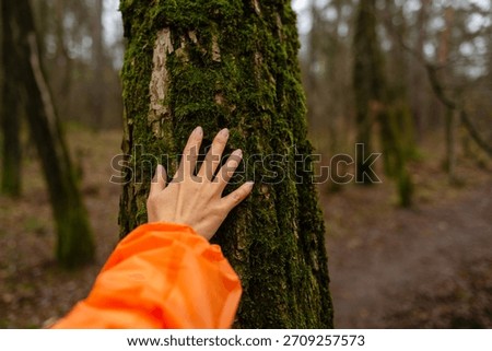 Close-up of a tree trunk covered in moss with human hands. The image symbolizes love for nature, environmental awareness, and connection with the forest.