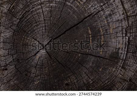 Close-up of tree trunk cross-section with dark textured rings and deep cracks, natural wood detail