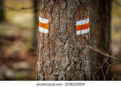 A close-up of a tree trunk in a forest displaying an orange and white trail marker, guiding hikers through the woodland. The rugged bark texture contrasts with the bright paint. - Powered by Shutterstock