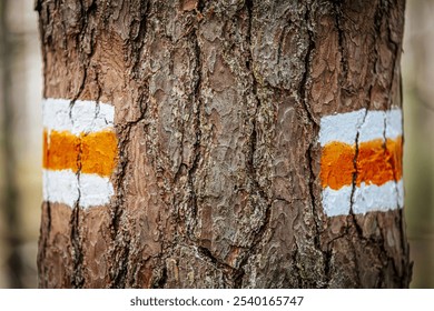 A close-up of a tree trunk in a forest displaying an orange and white trail marker, guiding hikers through the woodland. The rugged bark texture contrasts with the bright paint. - Powered by Shutterstock