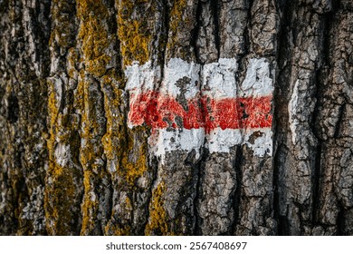 Close-up of a tree trunk with a white and red trail marker painted on its bark, surrounded by yellow-green moss. A textured and natural scene for outdoor navigation. - Powered by Shutterstock