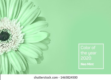 ミントグリーン の画像 写真素材 ベクター画像 Shutterstock