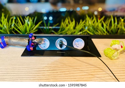 A Closeup Of A Triple Power Socket With Decorative Candies Around And Green Grass Behind It