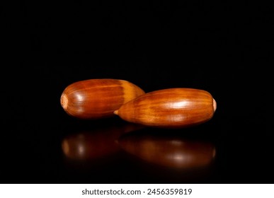 Close-up with two cork oak tree acorns. Two Quercus suber tree seeds on a black background