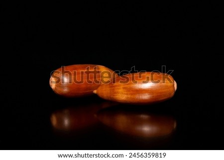 Close-up with two cork oak tree acorns. Two Quercus suber tree seeds on a black background