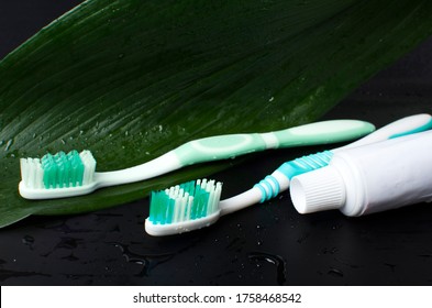 Closeup of two green toothbrushes, toothpaste and green wet leaf on the dark surface