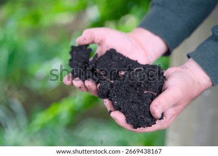 Close-up of two hands holding a piece of terra preta, a highly fertile, dark soil enriched with organic matter, biochar, and thriving worms.