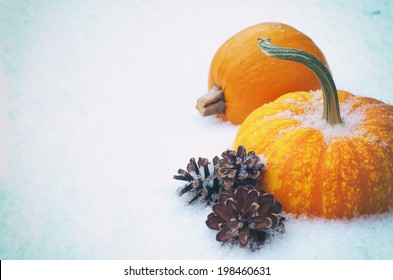Closeup of Two Mini Pumpkins in Snow as Seasons change from fall to winter with room or space for copy, text.  Vintage Instagram 