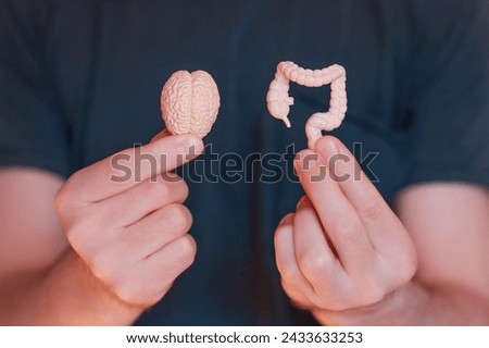 Close-up of two miniature models: one of a brain and the other of a gut. Both models are held in hands, symbolizing the connection between the two organs.
