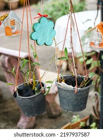 A Closeup Of Two Potted Plants Hanging In The Garden With Decorations