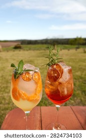 Close-up of two refreshing iced citrus drinks served in stemmed glasses, garnished with dried orange slices, fresh mint, and rosemary. Photographed outdoors on a wooden table in bright natural sunlight, with a softly blurred rural landscape, green fields, and blue sky in the background.