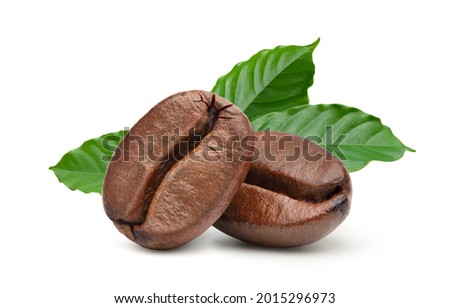 Close-up Two roasted coffee beans with fresh coffee leaves  isolated on white background.
