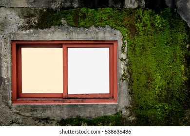 Close-up of two square blank frames against the old stone wall covered with moss as  background