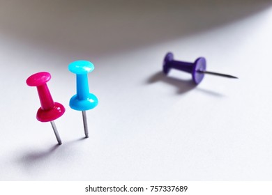 Close-up of two standing blue and red colored push pins and one overturned purple pin on a white background with dramatic shadow and copy space                        