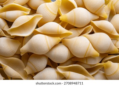 Closeup of uncooked large pasta shells - Conchiglioni rigati pasta