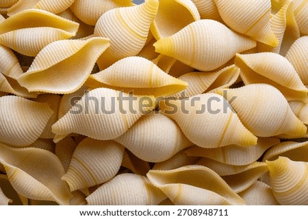 Closeup of uncooked large pasta shells - Conchiglioni rigati pasta