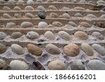 A close-up of the uniquely-constructed cobblestone walls of the Paris Plains Church in Brant County, Ontario.