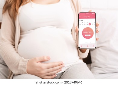 Closeup of unrecognizable pregnant woman using mobile application for pregnancy and childbirth control. Female holding and showing digital calendar of 3 trimester on smartphone screen - Powered by Shutterstock