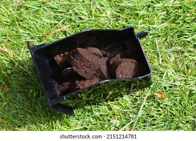 Closeup Used Coffee Grounds After Espresso Machine. Ground Coffee Tablets In A Black Waste Bin. On The Grass To Throw In The Garden.                               