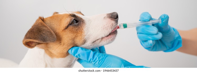 438,922 Syringe Stock Photos, Images & Photography | Shutterstock